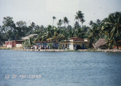 2alleppy houses on land s.jpg (13563 oCg)