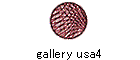 gallery usa4