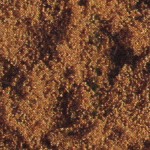 INDIAN_cook_spice1_Cumin Powder.jpg (13605 oCg)