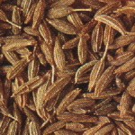 INDIAN_cook_spice2_Cumin_Seed.jpg (13926 oCg)