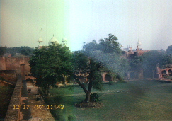 india97 agra11 redfort2.JPG (37362 oCg)