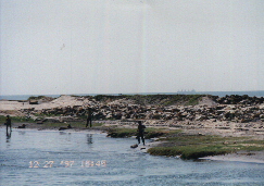 india97 alleppy2 indian ocean.JPG (37274 oCg)